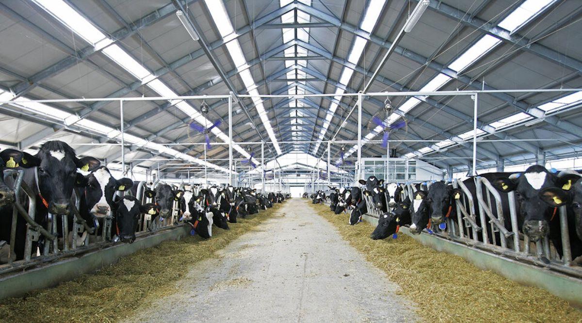 Podravka Agri širi brend ABC