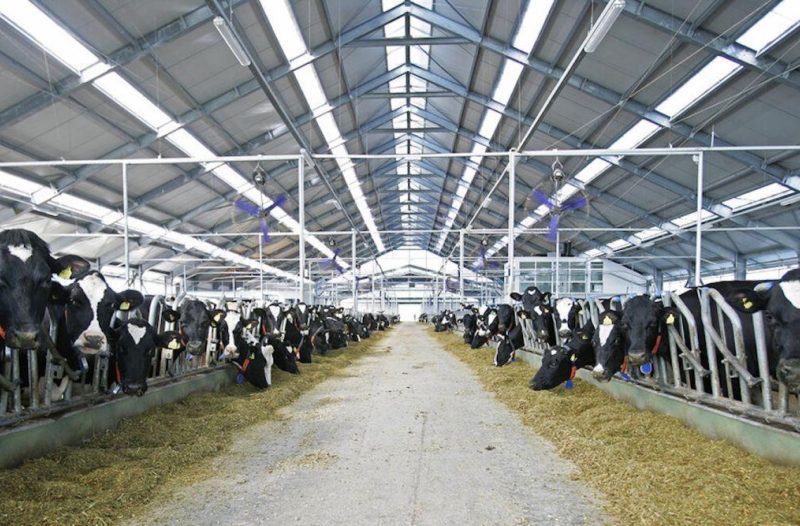 Senj - grad-senj.com - Podravka Agri širi brend ABC i na tržište donosi cjeloviti asortiman proizvoda od 100 posto domaćeg mlijeka