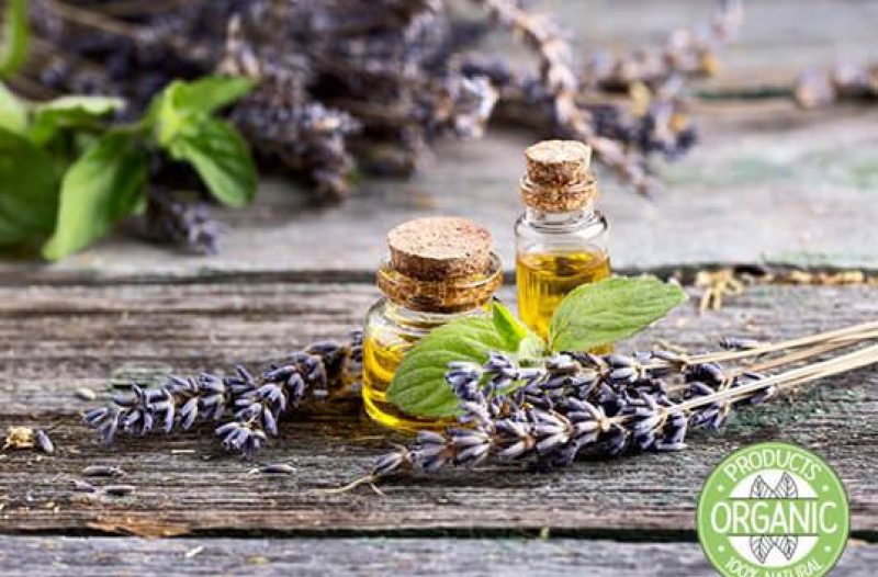 Senj - grad-senj.com - Florihana - Organska eterična ulja i hidrolati - BIO TERRA